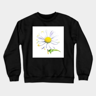 January 1 Daisy Day A - Watercolors & Pen Crewneck Sweatshirt